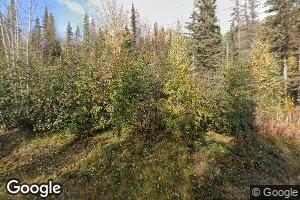 18668 Bean Creek Rd, Cooper Landing, AK 99572