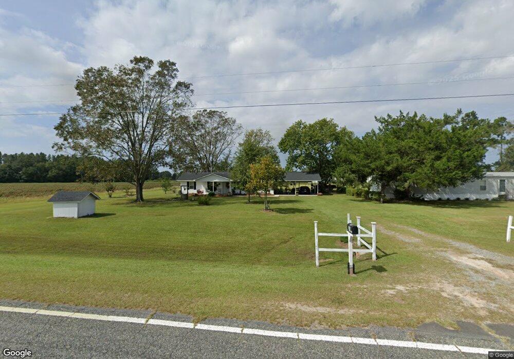 1736 Pine Level Church Rd, Alma, GA 31510 - photo 1