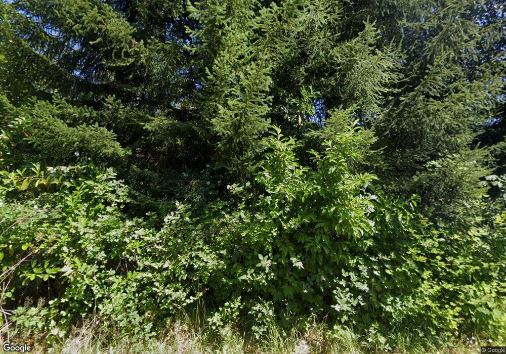 29115 132nd Ave E, Graham, WA 98338 - photo 1