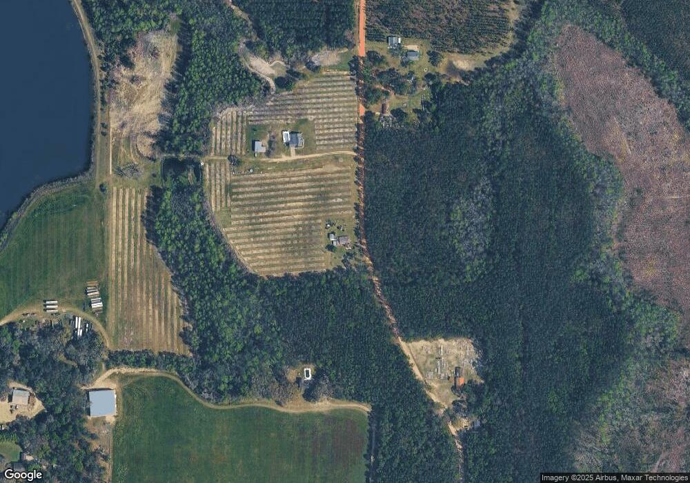 170 Carter Chapel Rd, Mershon, GA 31551 - photo 1