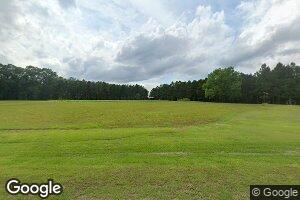 1484 Cow Hill Rd, Millry, AL 36558