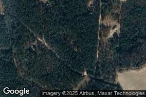 22039 Old Gum Tree Rd, Zuni, VA 23898