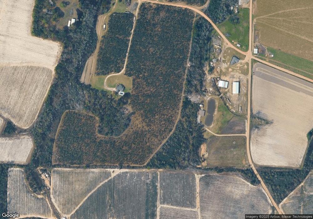 197 Whippoorwill Way, Alma, GA 31510 - photo 1