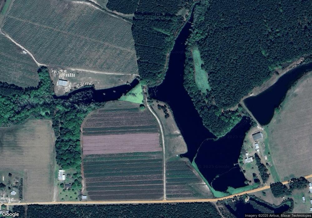 238 Ocelot Rd, Alma, GA 31510 - photo 1