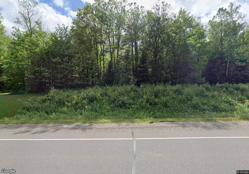 N8540 Us Highway 45, Deerbrook, WI 54424 - photo 1