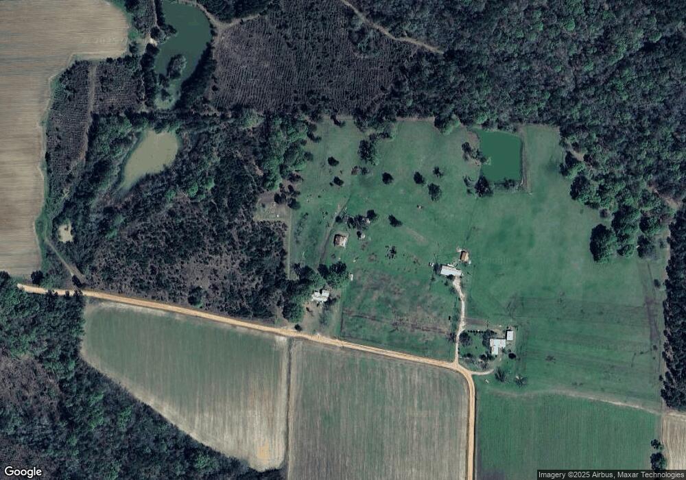 849 Ray Vanbrackle Rd, Lenox, GA 31637 - photo 1