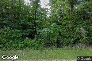 4069 Bladon Rd, Silas, AL 36919