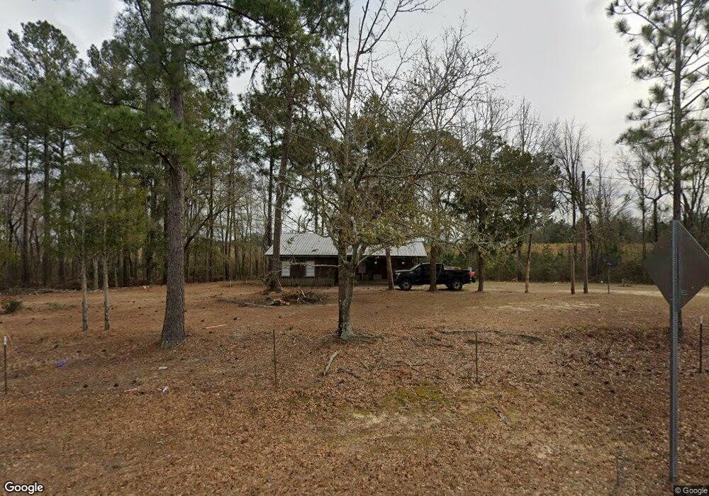 243 Sam Beasley Rd, Lyons, GA 30436 - photo 1