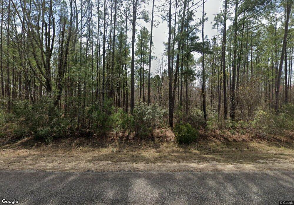 929 Bird Flanders Rd, Swainsboro, GA 30401 - photo 1