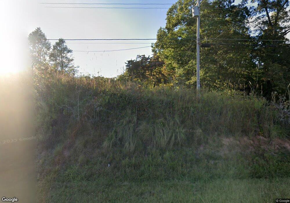 4804 Mineral Bluff Hwy, Mineral Bluff, GA 30559 - photo 1