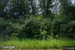6467 E Filmore Rd, Walkerville, MI 49459