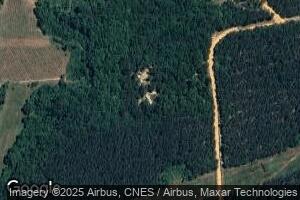 7595 Nunn Rd, Mitchell, GA 30820