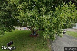 103 W North 3rd St, Findlay, IL 62534