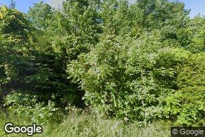 Lot 59 & 6 Lonnie Haynes Rd, Custer, KY 40115