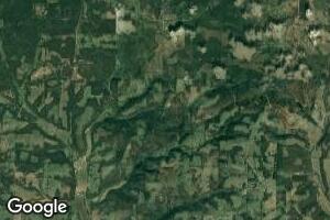32046 State Highway Ae Hwy, Mountain Grove, MO 65711
