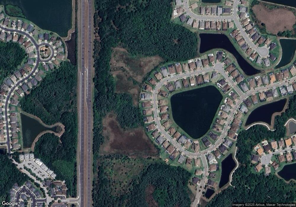 28564 Picana Ln, Wesley Chapel, FL 33543 - photo 1