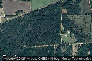 32261 Pigeon Creek Rd, Red Level, AL 36474
