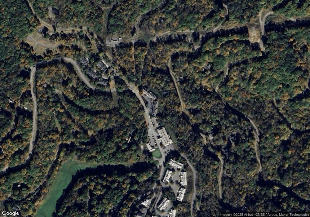 2521 Wolf Laurel Rd unit 503, Mars Hill, NC 28754 - photo 1