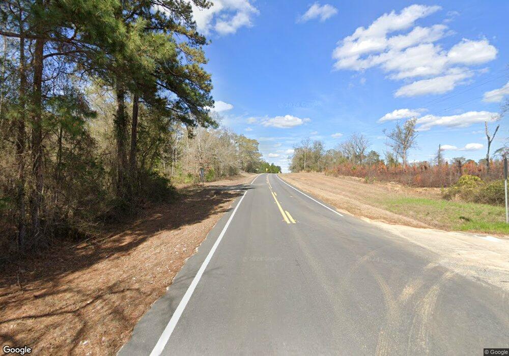 134 Harrell Loop Rd, Rhine, GA 31077 - photo 1