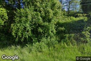 66 Kyle Ln, Littleton, WV 26581