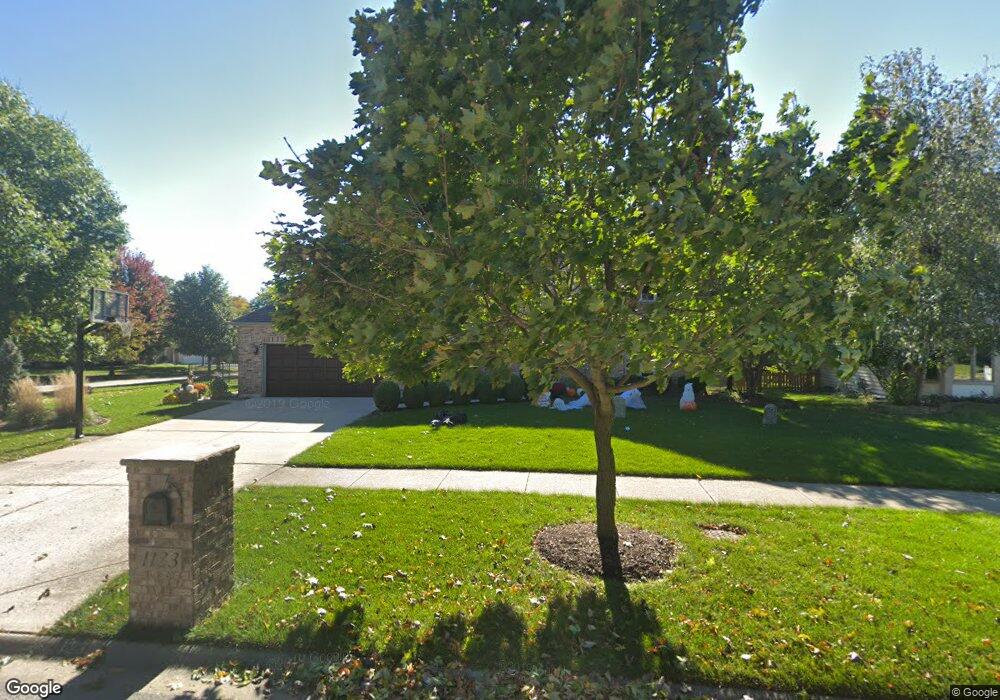 1123 Cordula Cir, Naperville, IL 60564 - photo 1