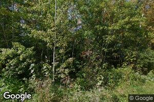 2571 Mundt Rd, Brutus, MI 49716