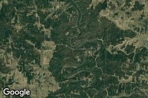 0 County Rd 64 Unit 11311971, Cross Timbers, MO 65634