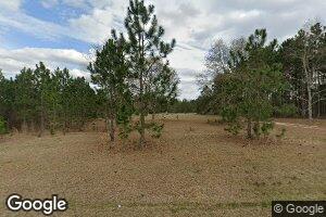 125 Pete Thomas Rd, Chauncey, GA 31011