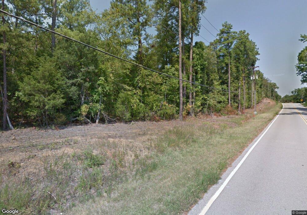 46 Bunchberry Ct, Chapin, SC 29036 - photo 1