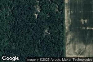 201 Reed Ln, Watson, IL 62473