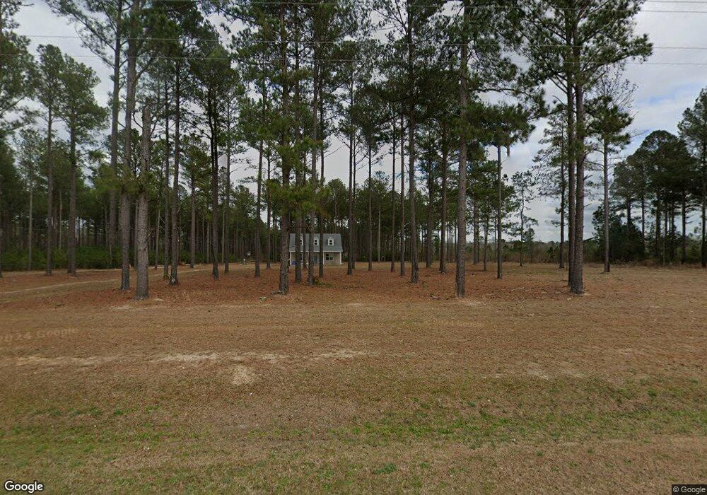 17212 Union Rd, Metter, GA 30439 - photo 1
