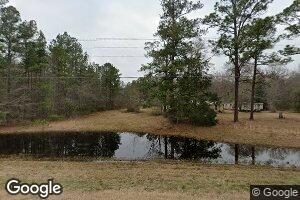 229 E Railroad Ave, Alamo, GA 30411