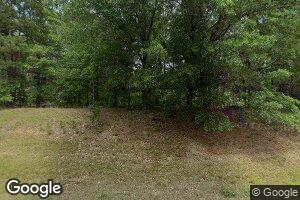 9076 Agricola Rd, Mitchell, GA 30820