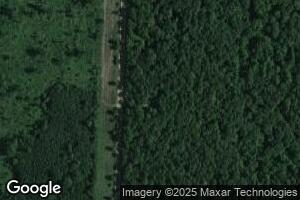 12879 Graf Rd, Brethren, MI 49619