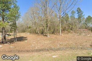 56 Dugger Rd, Lumber City, GA 31549