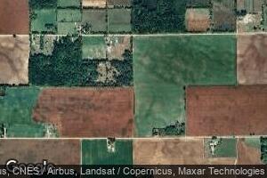 7817 N Cedar Lake Rd, Edmore, MI 48829