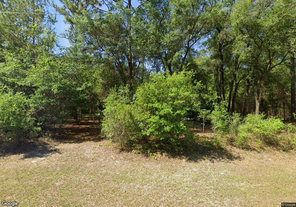 9905 SW 206th Cir, Dunnellon, FL 34431 - photo 1