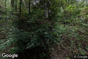 3154 Nc 4830, Mount Judea, AR 72655
