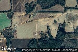328 County Road 4424, Brundidge, AL 36010