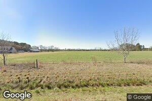 17841 Old River Rd, Garfield, GA 30425