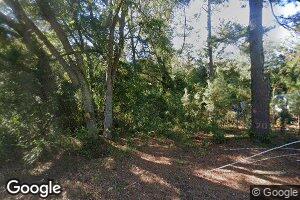 151 Cofer St, Wagener, SC 29164