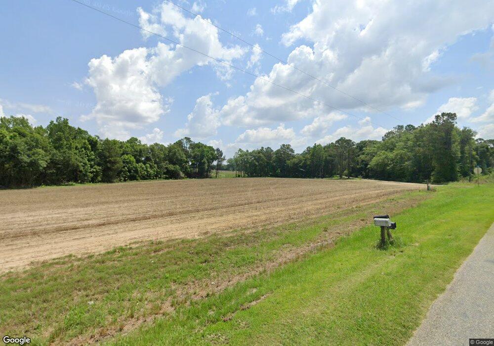 2115 Dixie Barwick Rd, Dixie, GA 31629 - photo 1