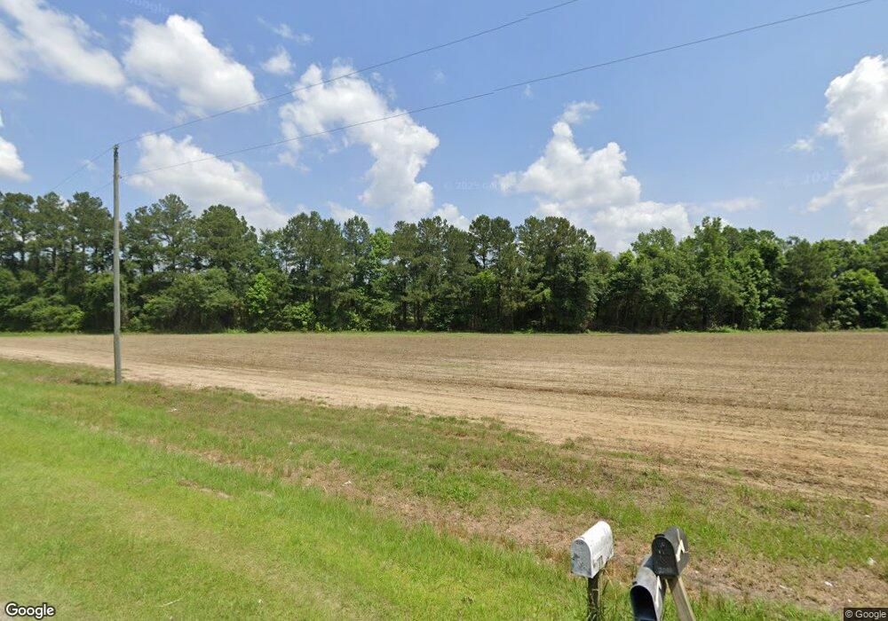 2085 Dixie Barwick Rd, Dixie, GA 31629 - photo 1