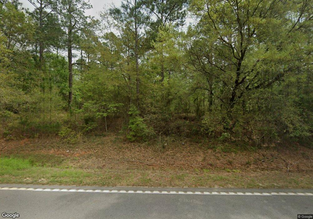 265 Ga Highway 112 N, Pelham, GA 31779 - photo 1