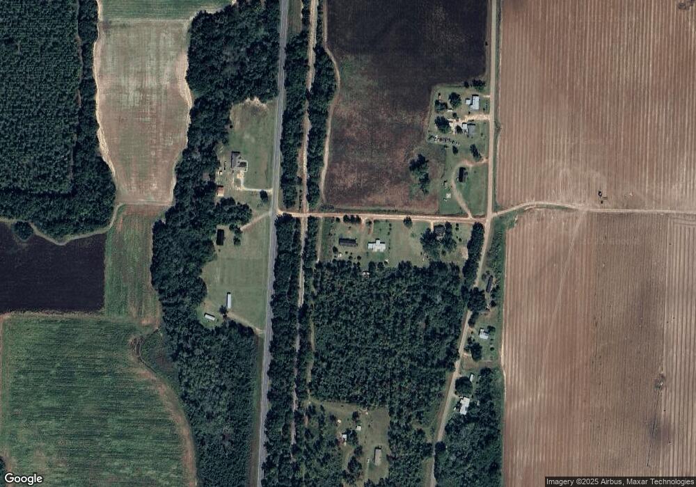 60 Melton Smith Rd, Damascus, GA 39841 - photo 1