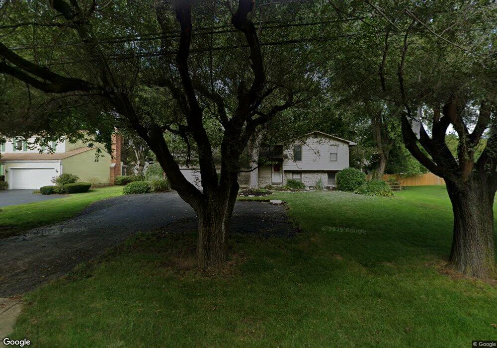 5541 Godown Rd, Columbus, OH 43235 - photo 1