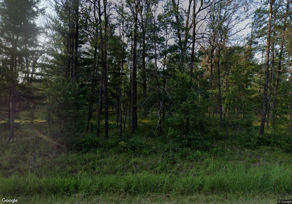 156 W 76th St, Baldwin, MI 49304 - photo 1