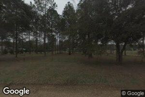 1801 Wade Rd, Pelham, GA 31779