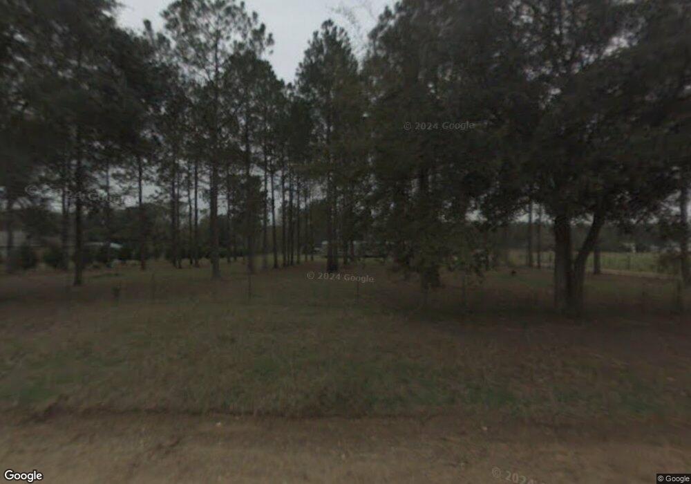 1801 Wade Rd, Pelham, GA 31779 - photo 1