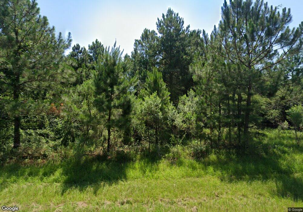 222 Old Nesbitt Rd, Cordele, GA 31015 - photo 1